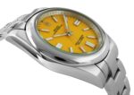 rx-oyster-41mm-124300-yellow-06