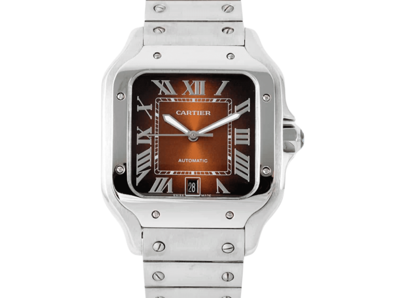 cartier-santos-steel-brown-large-wssa0064-09_tn